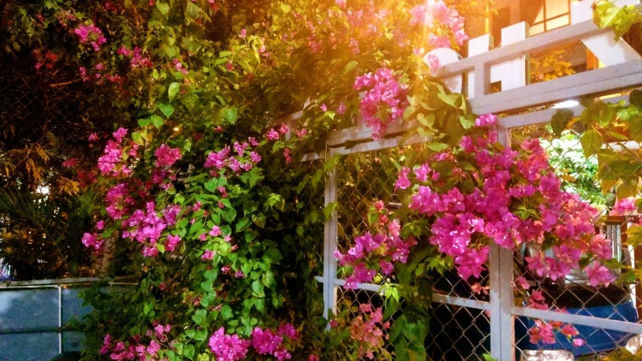 Lapaz Homestay Дананг Екстер'єр фото